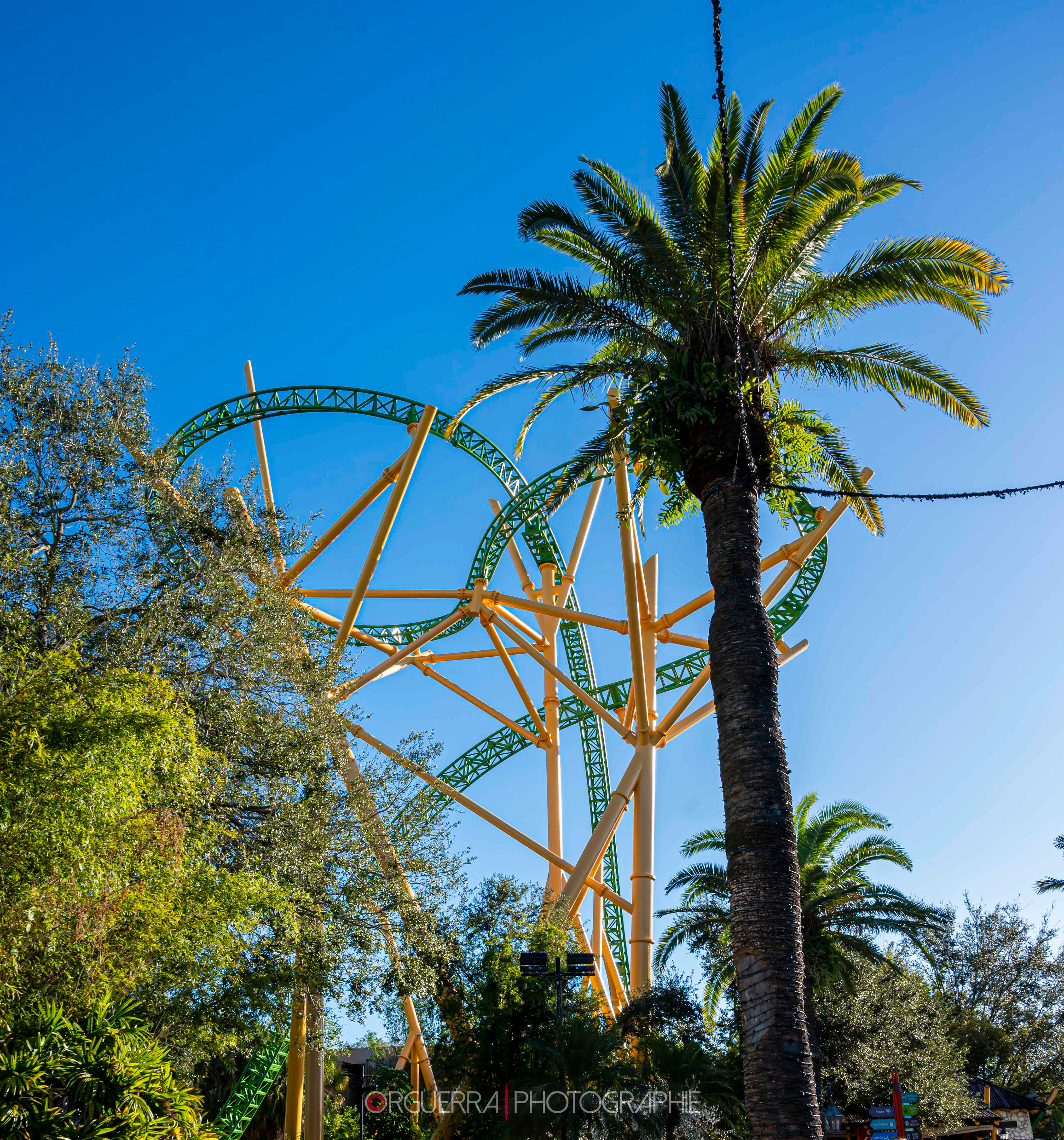 Bush Garden